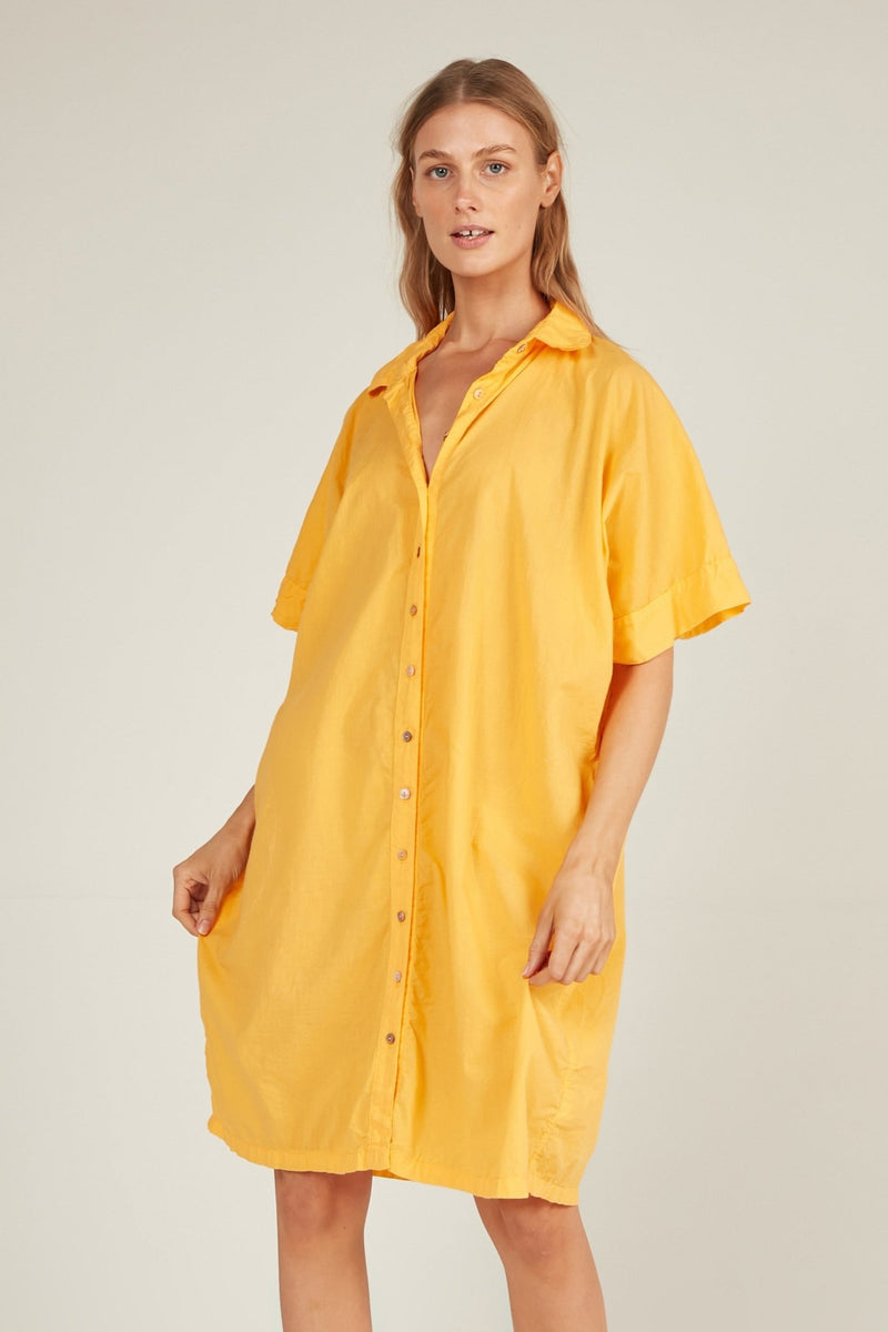 HOLIDAY SHIRT DRESS - POPSICLE - Primness